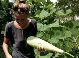 Volunteer at the permaculture garden