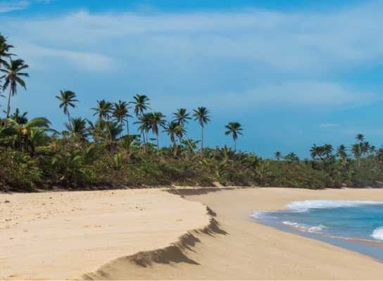 Volunteer in Puerto Rico with IVHQ