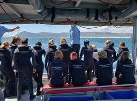A+ World Academy Students shark diving in Cape Town