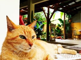 Relaxing atmosphere
