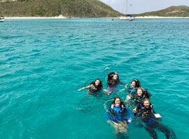 Scuba diving in the BVI