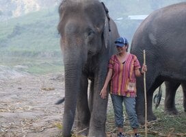 Standing with elephants is as inspirational as it is incredible