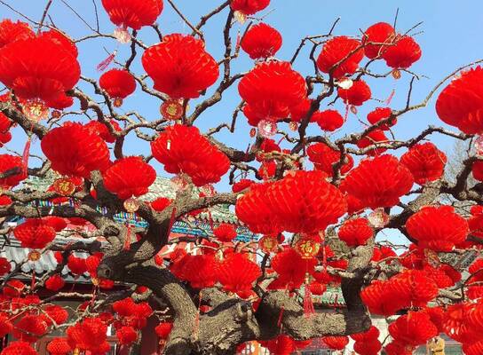 Study Chinese online with Culture Yard