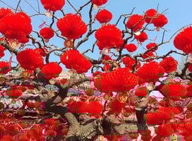Study Chinese online with Culture Yard