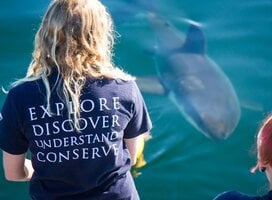 Research Trips
