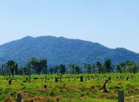 Landscape photo of Belize