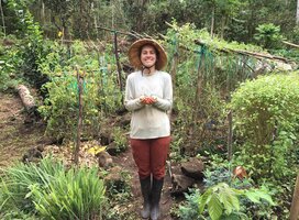 In the garden