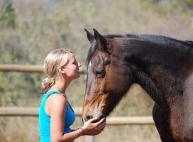 Bond with horses