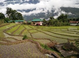 Terrace Farming at Patuk Village
