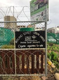 Our Roeland Street Garden