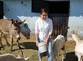 Animal care Project