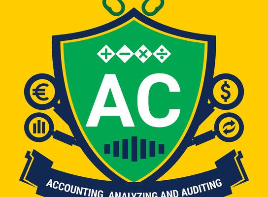 This is the program icon designed exclusively for VNU-IS's Accounting, Auditing and Analyzing Program 