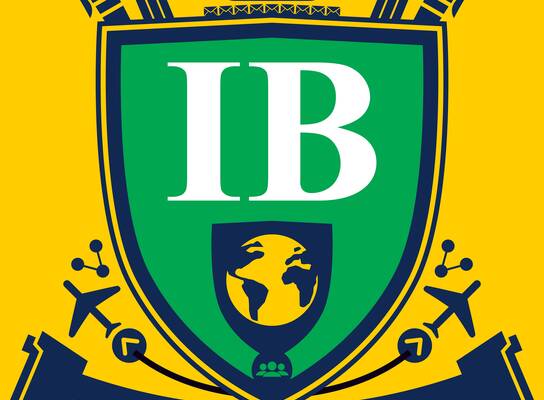 This is the icon designed exclusively for VNU-IS's International Business Bachelor program