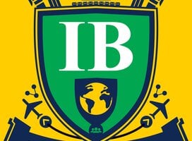 This is the icon designed exclusively for VNU-IS's International Business Bachelor program