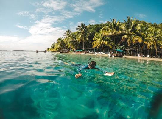 SFS Panama - student snorkeling