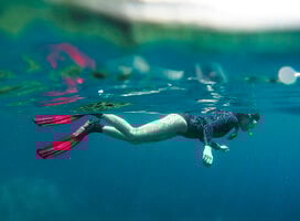 GVI: Internships in Seychelles