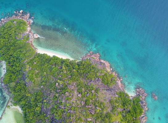 GVI: Volunteer in Seychelles