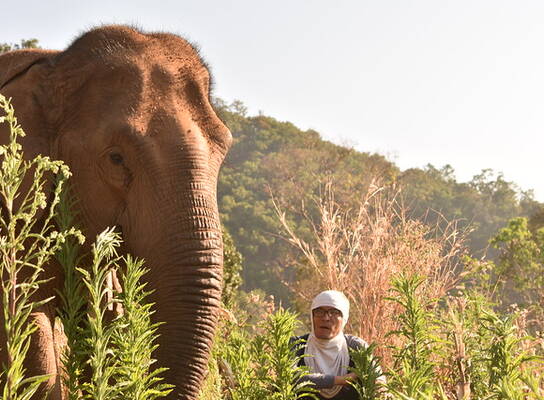 GVI: Internships in Thailand