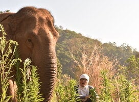 GVI: Internships in Thailand