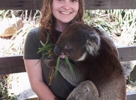 Stepabroad participant holding a koala