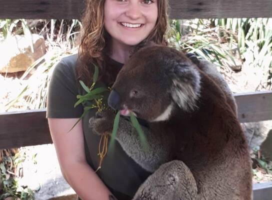 Stepabroad participant holding a koala