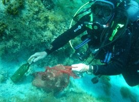 Volunteering in Croatia with IVHQ