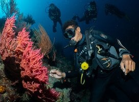 DM Ong showing his students the reef full of life