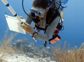 GVI: Internships in Mexico