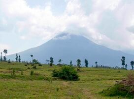 Volcano national park in Rawanda.