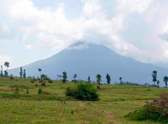 Volcano national park in Rawanda.