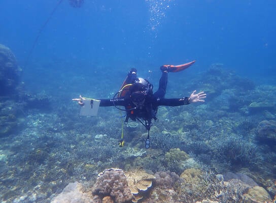 Reef Check Reef Survey in Action