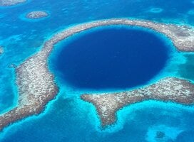 Coral reef