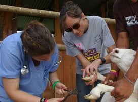 Students gaining fieldwork experience at a local farm.