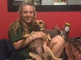 take care of dogs