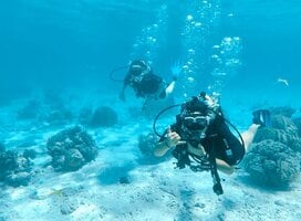 ARCC Gap Central America: Scuba Diving in Belize