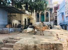 Women and Girls' Empowerment in Rajasthan, India