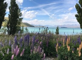 Lake Tekapo, New Zealand