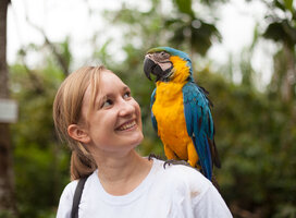 Protect exotic wildlife in the Amazon Rainforest!