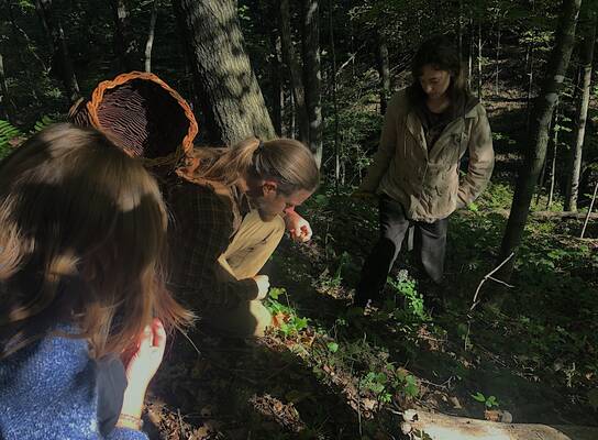 2019 Semester Program students harvesting acorns.