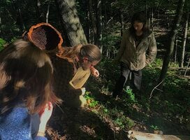 2019 Semester Program students harvesting acorns.