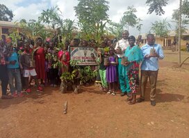 Tree planting in schools