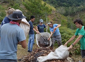 Dream Volunteers - Costa Rica