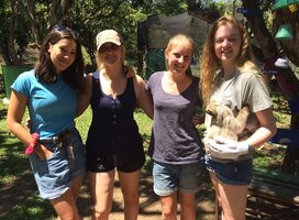 School volunteer group in Costa Rica wildlife sancutary