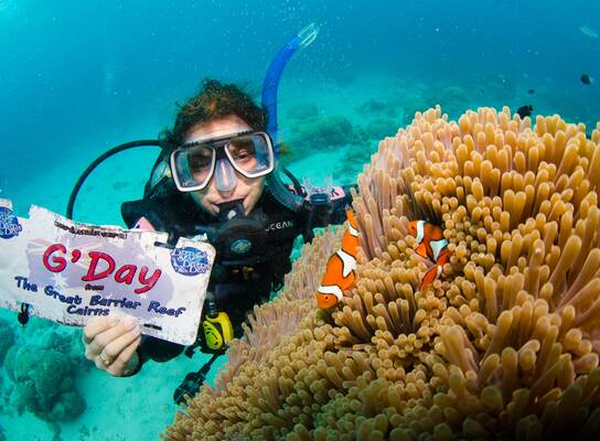 scuba diving the great barrier reef