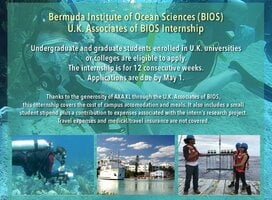 U.K. Associates of BIOS Internship flyer
