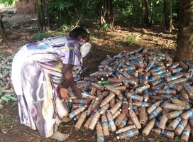 Woman ready with bricks