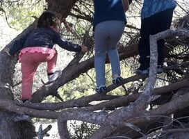 climbing 
