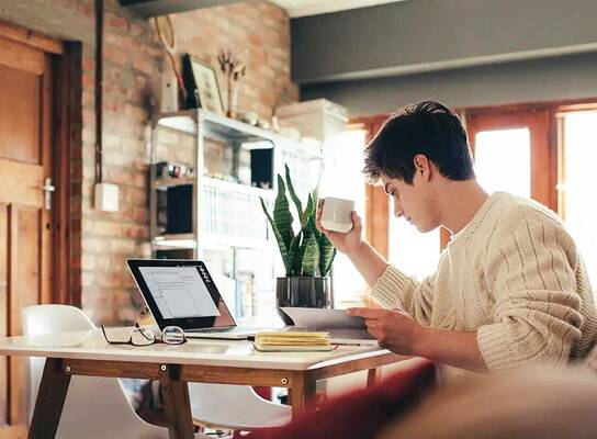 Capital Placement Remote Intern