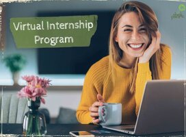 Virtual Internship Program