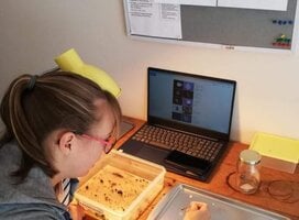 Marine science virtual interns at work